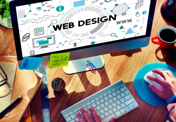 Why hire a professional website designer and developer?